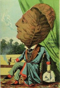 1886 Anthropomorphic Tobacco Leaf-Man Smoking Dambmann Bros & Co Guanos P87