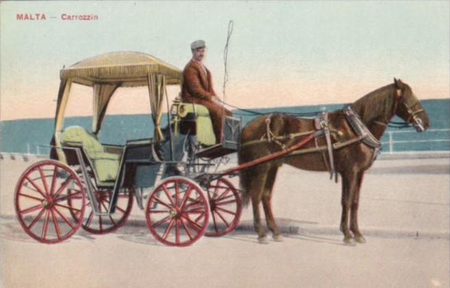 Malta Carrozin Horse and Carriage
