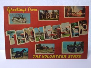 Greetings From Tennessee Large Big Block Letter Postcard Unused Dexter Press