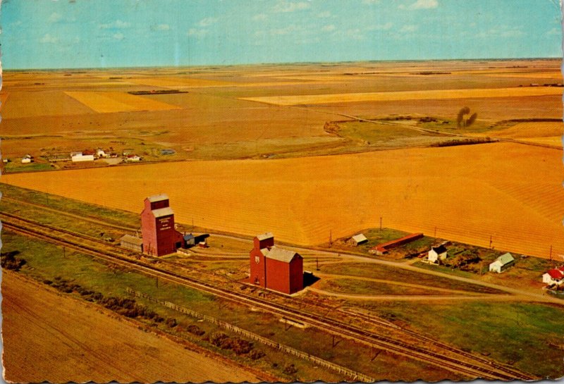 Canada Harvest In Saskatchewan 1973