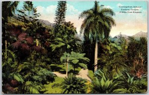 Greetings From Jamaica Castleton Gardens Miles From Kingston Palms Postcard