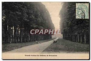 Postcard Old Brevannes Avuenue the Chateau de Brevannes