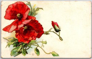 1909 Red Flower Large Flower Greetings and Wishes Posted Postcard 