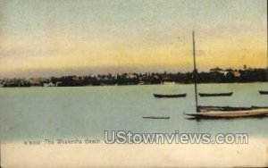 The Waukesha Beach - Wisconsin