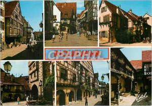 Postcard Modern Land of Storks Riquewihr (Haut Rhin)