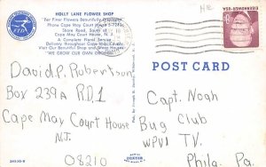 Holly Lane Flower Shop Cape May, New Jersey Postcard