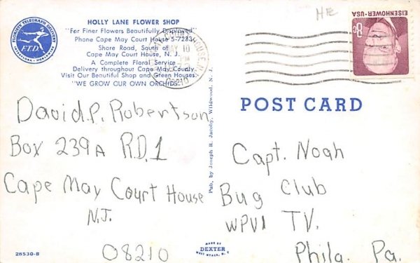 Holly Lane Flower Shop Cape May, New Jersey Postcard