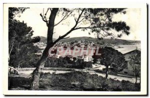 Postcard Old La Cote Vermeille Banyuls sur Mer View through the pines