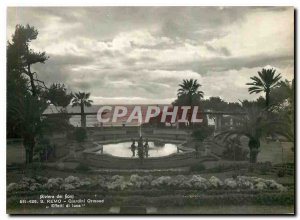 Postcard Modern Riviera dei Fiori S Remo Giardini Ormond Effetti di luce