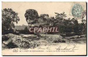 Old Postcard Foret De Fontainebleau The Sphinx The Druids Gorges Franchard