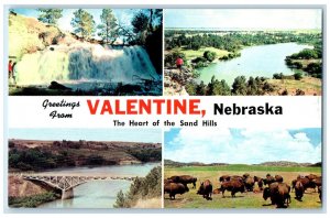 c1960's Greetings from Valentine Nebraska NE Animals Water Falls Bridge Postcard