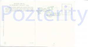 PICKING FRUIT IN EL DORADO COUNTY CAL