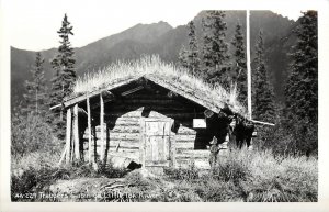 RPPC Postcard Trappers Cabin On Little Tok River Robinson Photo 4A 229 Alaska