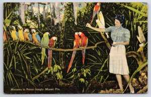 Miami FL~Macaws In Parrot Jungle~Jimmie Johnsons Sightseeing Ad~Vintage Linen PC