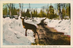 Deer Kenora Fort Frances Highway Ontario ON Unused PECO Postcard G49