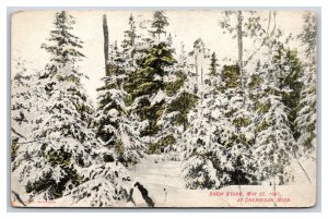 Snow Storm May 27 1907 Cheboygan Michigan MI UNP DB Postcard E19