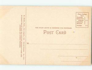 Unused Divided-Back POSTCARD FROM state of California HM5478