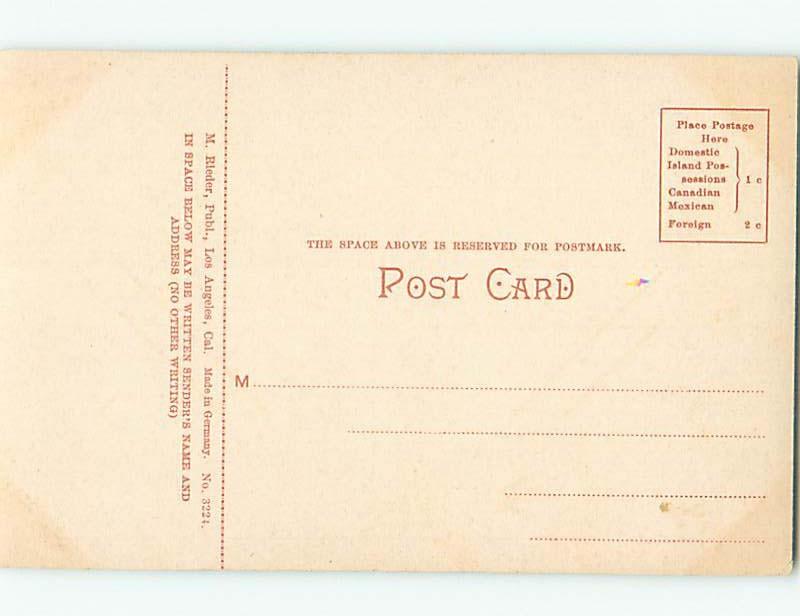 Unused Divided-Back POSTCARD FROM state of California HM5478