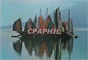  Modern Postcard Hong-Kong Chinese Junks Boats