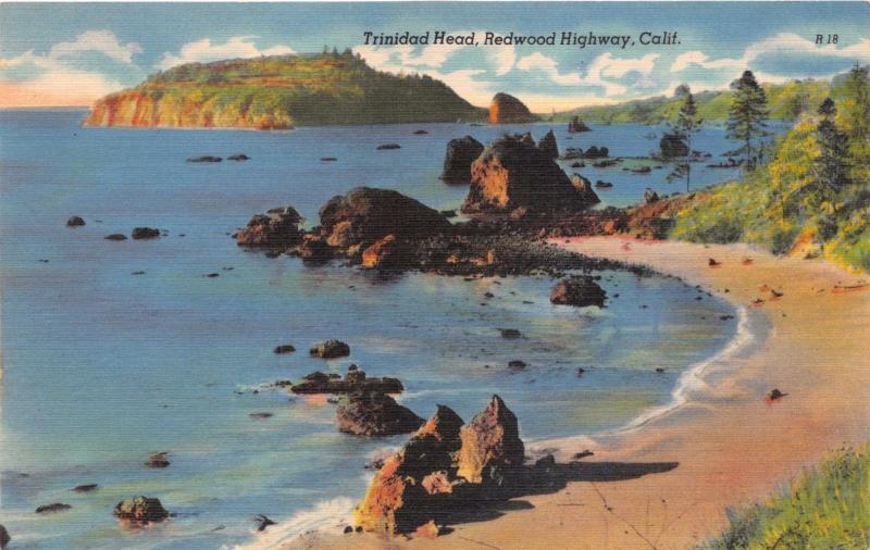 REDWOOD HIGHWAY ROUTE 101 CALIFORNIA TRINIDAD HEAD  POSTCARD 1940s