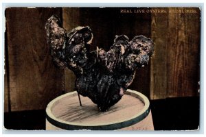 c1910 Real Live Oyster Figure Exterior View Biloxi Mississippi Vintage Postcard