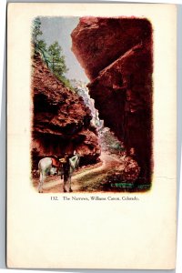 Postcard CO Williams Canon The Narrows - embossed