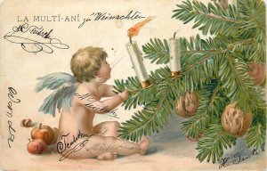 Embossed cupid angel Christmas greetings postcard Romania 1905