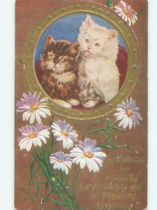 Pre-Linen PAIR OF KITTEN CATS WITH FLOWERS AC4887