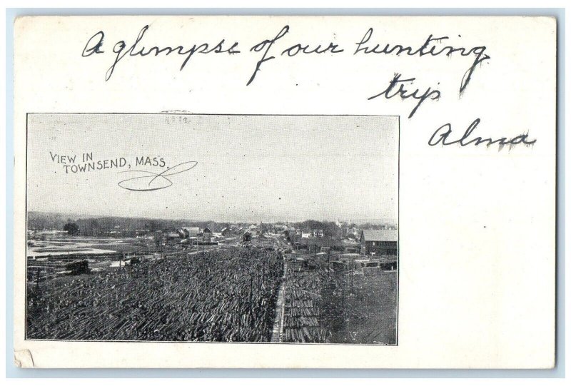 1905 View In Townsend Massachusetts MA, Logging Posted Antique Postcard 