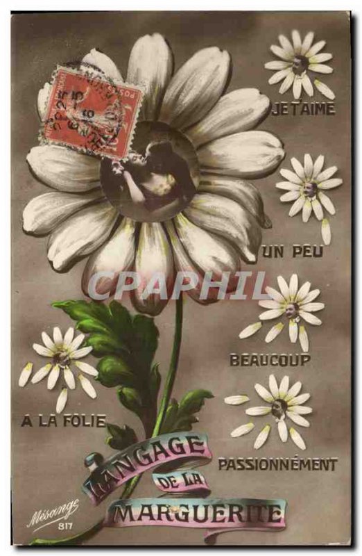 Old Postcard Fantasy Daisy Flowers Language