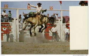 Calgary Exhibition and Stampede, Rodeo, CALGARY, Alberta, Canada, 40-60´