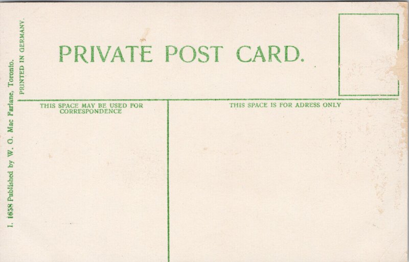 Ferry Landing Windsor Ontario Unused Macfarlane Postcard G83