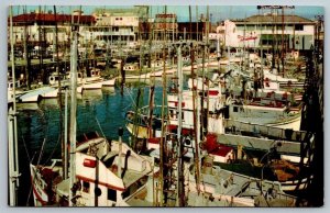 Fishing Fleet Postcard - San Francisco - California