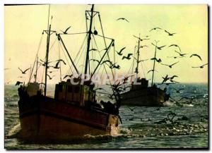 Modern Postcard Back off fishing boat