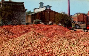 WV - Martinsburg. A Million Bushels of Apples