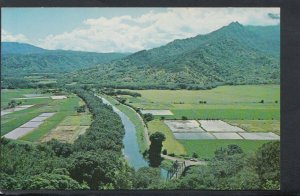 America Postcard - Hawaii - Hanalei Valley, Island of Kauai    RS12274