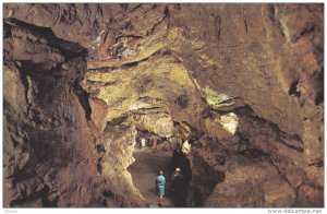 Great Chamber Kent´s Cavern, Torquay, Devon, England, United Kingdom, 40-60s