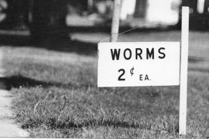 Worms 2¢ (Cents) ea. Photo by Mark Chester. 1980 The American Postcard Company