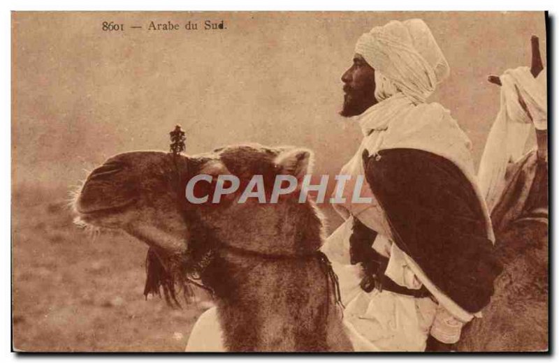 Postcard Old South Arabian Camel