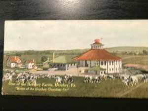 Vintage Postcard 1907-1915 One of the Hershey Farms Hershey Pennsylvania