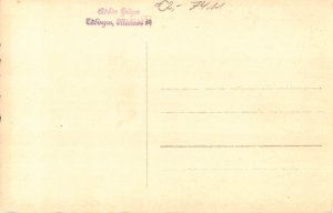 A217 Germany Lichtenstein Castle vintage postcard