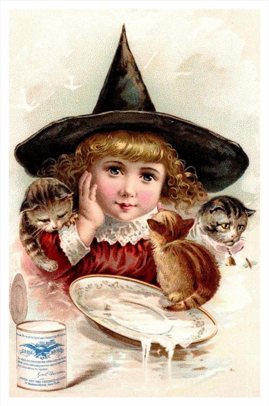 16044  NY Condensed  Milk Co. Young Girl, 3 cats drinking milk  Trade Card