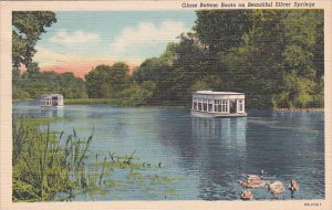 Florida Silver Springs Glass Bottom Boats On Beautiful Silver Springs 1941 Cu...