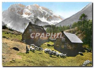 Postcard Modern Pyrenees The Shepherds at the bottom of the Massif Bizourteres