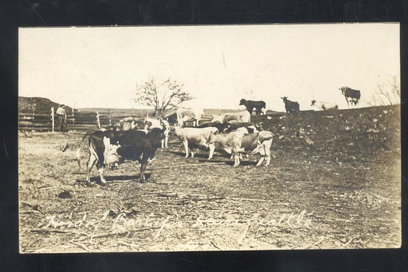 RPPC WAYNESBORO PENNSYLVANIA PA CATTLE FARM FARMING REAL PHOTO POSTCARD