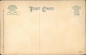 Three Rivers Palmer MA From the Common c1910 Postcad