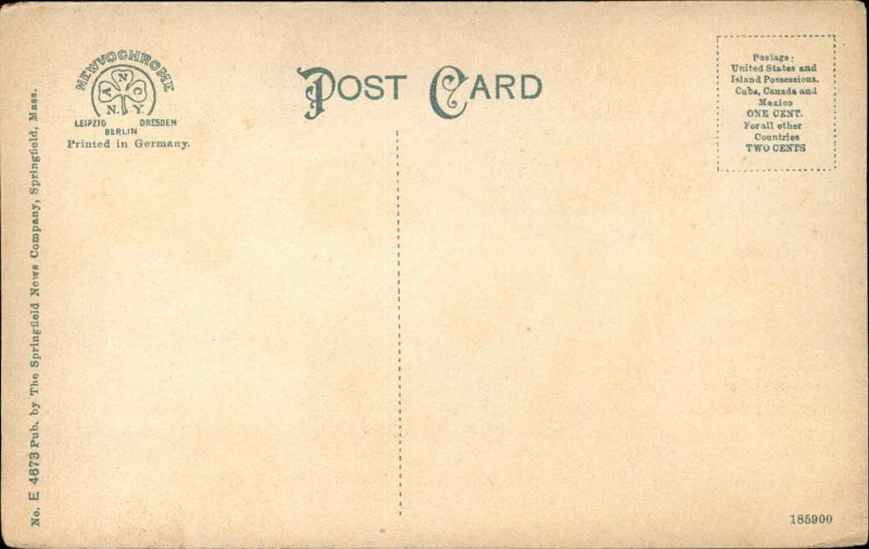 Three Rivers Palmer MA From the Common c1910 Postcad