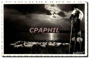 Postcard Old Country Landes One night at Lake Folklore Shepherd Sheep