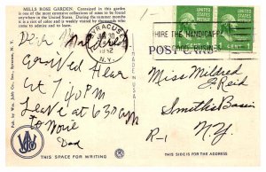 Postcard GARDEN SCENE Syracuse New York NY AQ8268