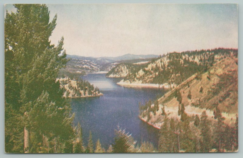 Coeur D' Alene Idaho~Coeur D' Alene Lake From Above~Vintage Postcard